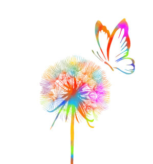 Twitterでの発信について